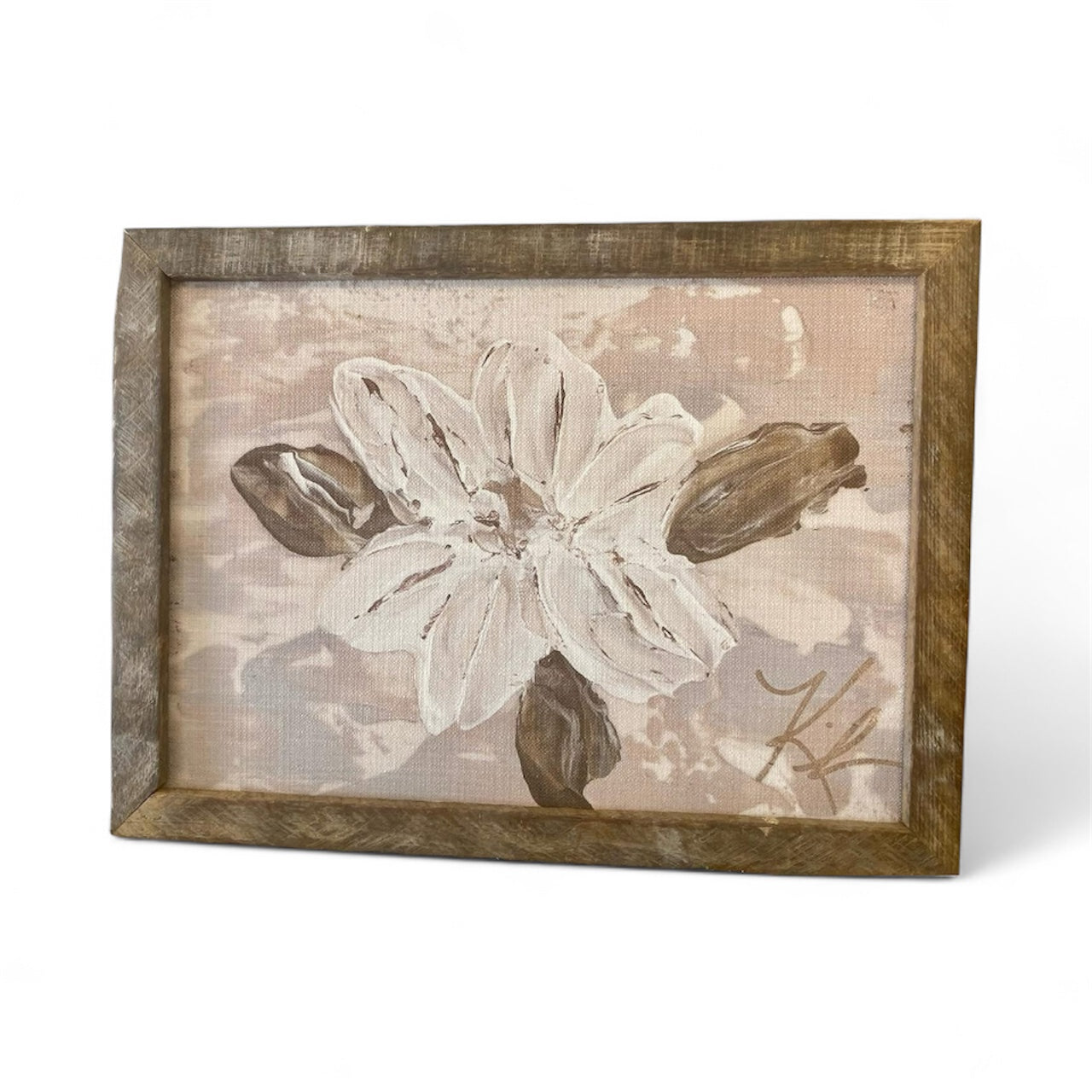 Mississippi Magnolia Framed Art