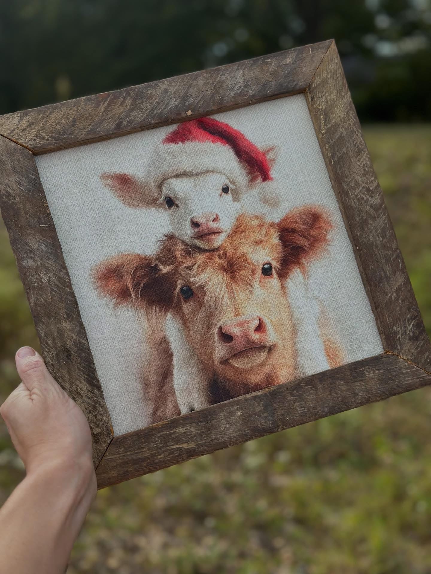 Christmas Cows Framed Art