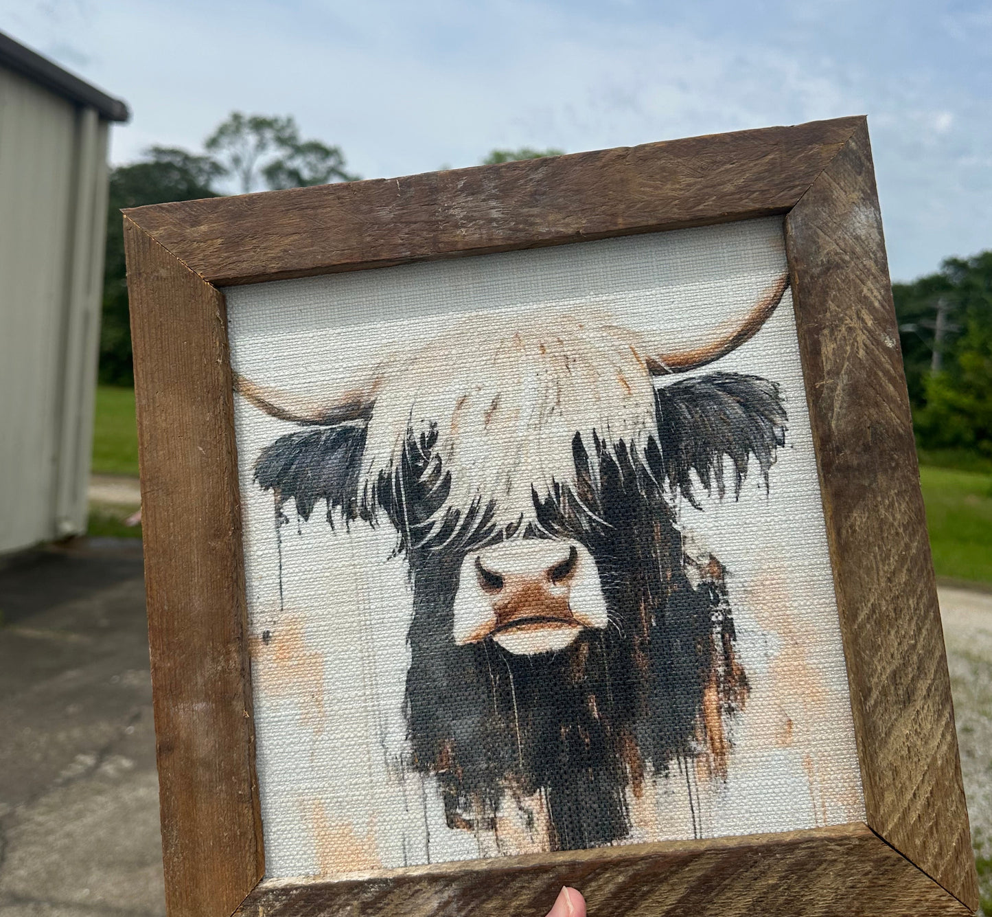 Highland Daisy Framed Art