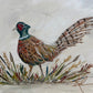 GA Pheasant Framed Art