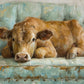 Cow Couch Framed Art