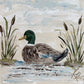 GA Mallard Framed Art