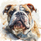 Watercolor Bulldog Framed Art