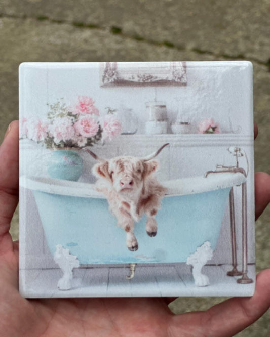 Highland Cow In Bathtub Coaster